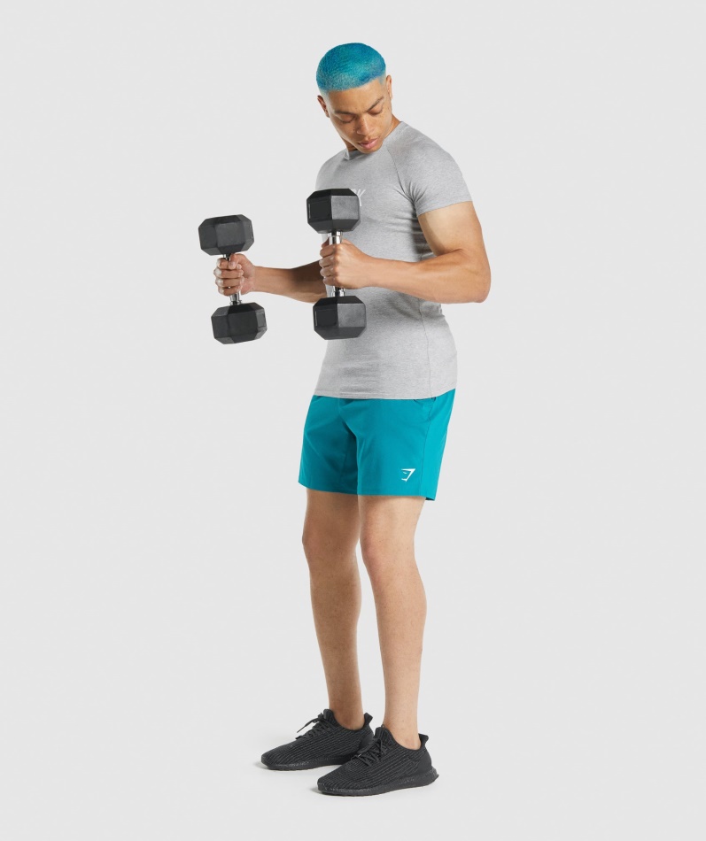 Gymshark Apollo T-skjorte Lys Grå Mergel