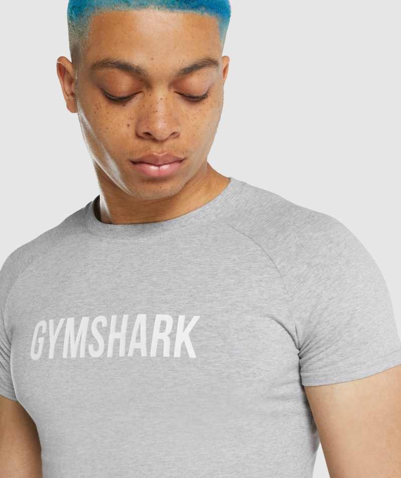 Gymshark Apollo T-skjorte Lys Grå Mergel