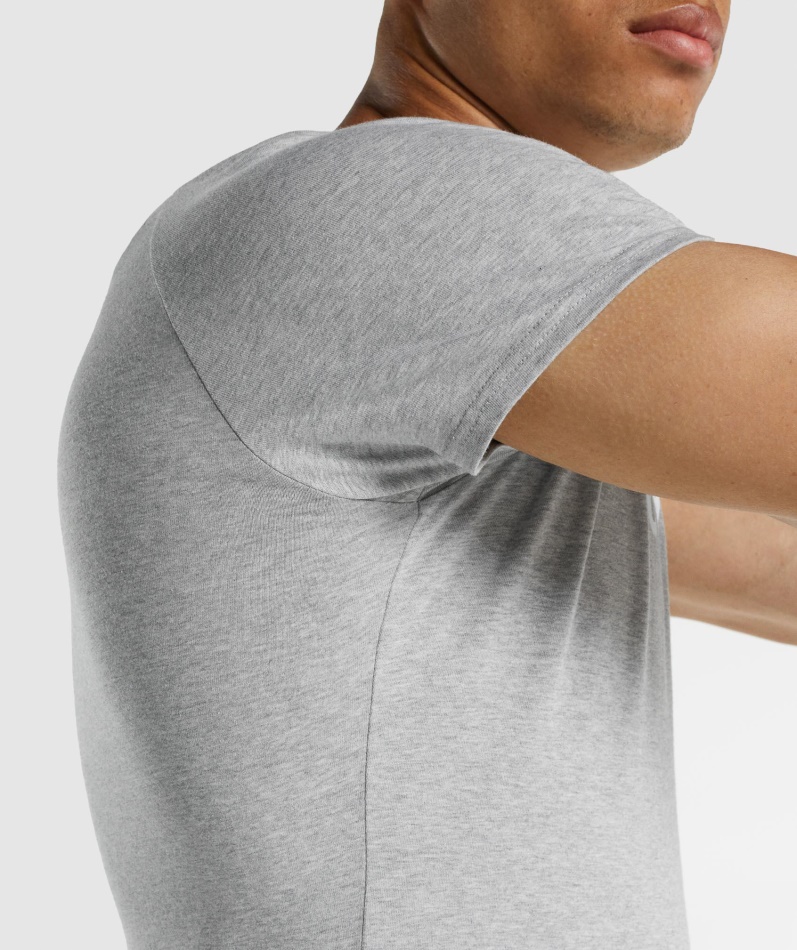 Gymshark Apollo T-skjorte Lys Grå Mergel