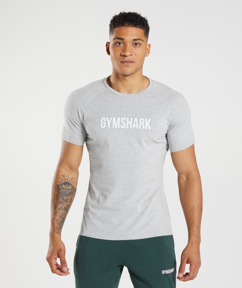 Gymshark Apollo T-skjorte Herre Lys Grå Mergel