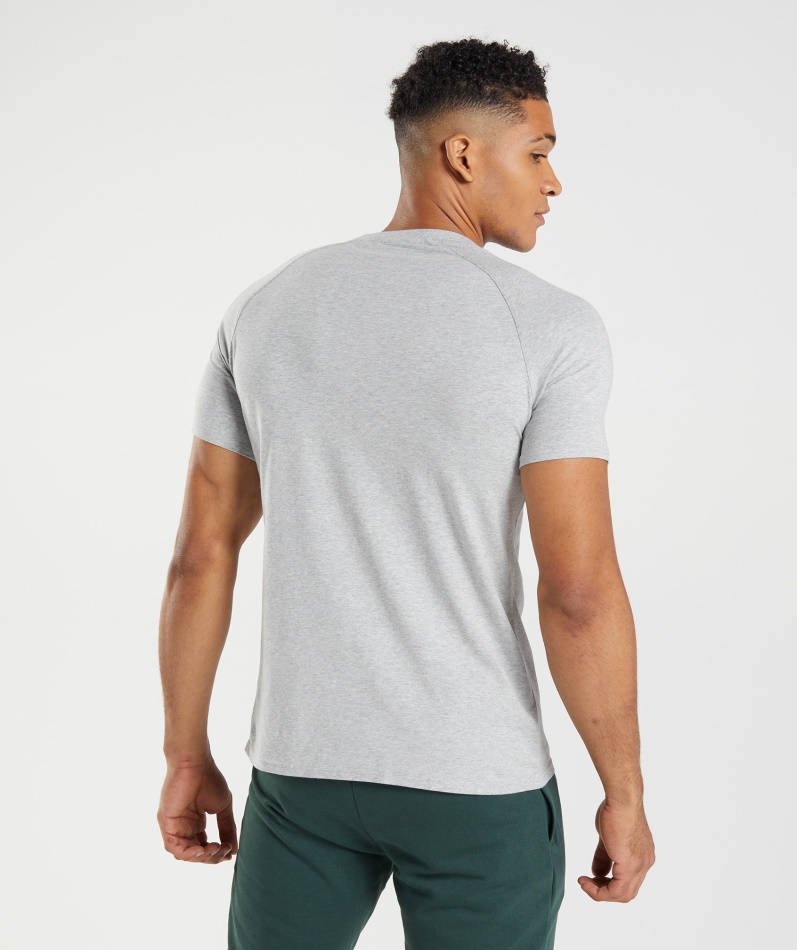 Gymshark Apollo T-skjorte Herre Lys Grå Mergel