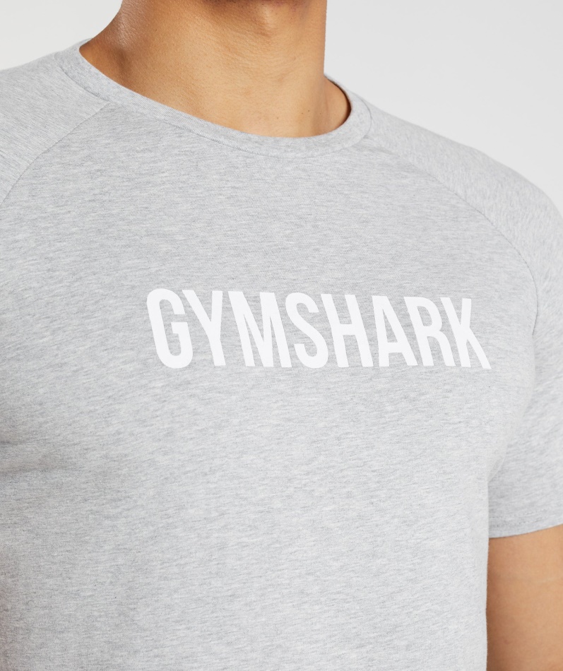 Gymshark Apollo T-skjorte Herre Lys Grå Mergel