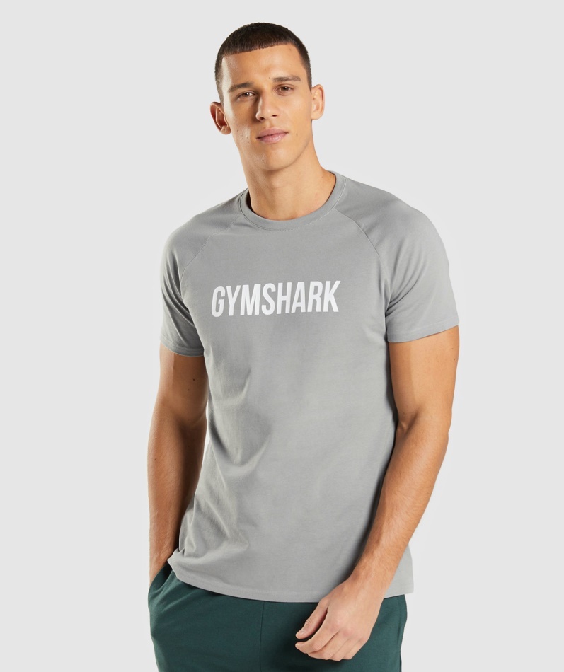 Gymshark Apollo T-skjorte Menn Smokey Grå