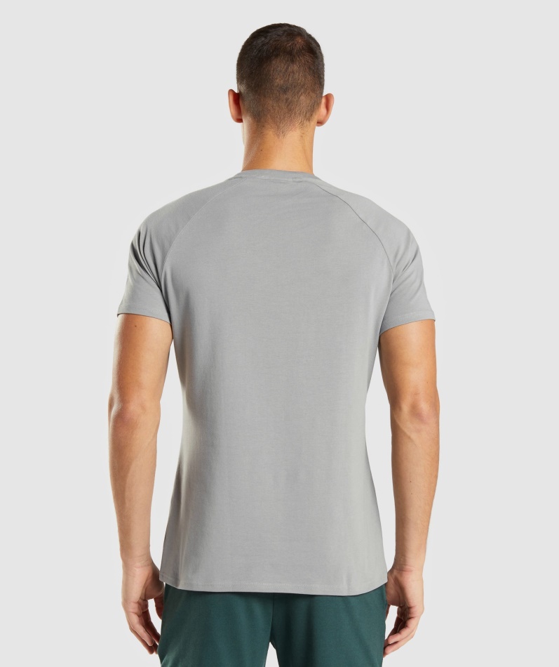 Gymshark Apollo T-skjorte Menn Smokey Grå