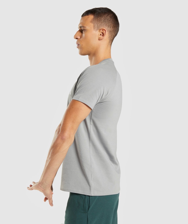 Gymshark Apollo T-skjorte Menn Smokey Grå