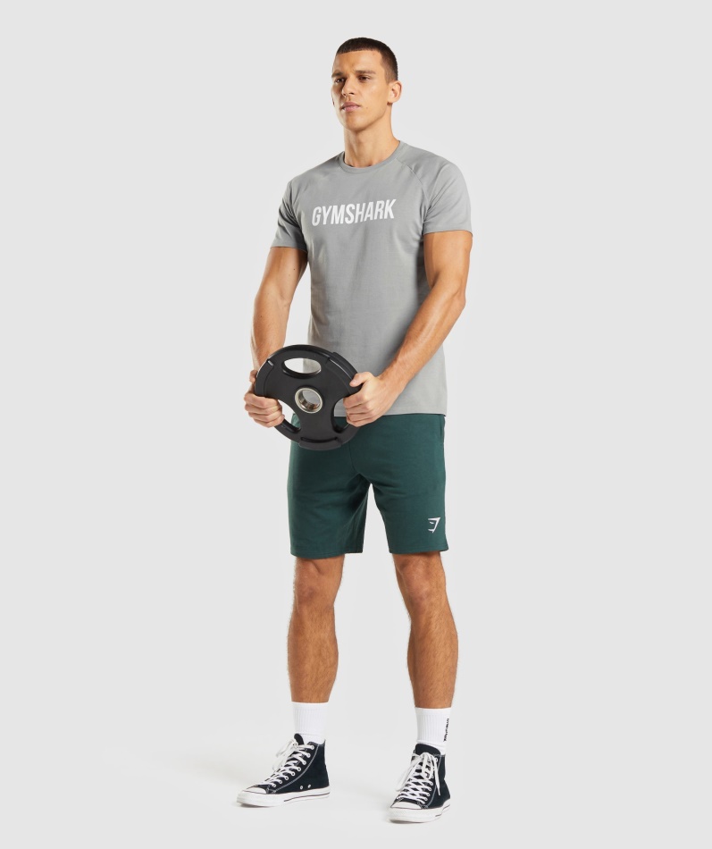 Gymshark Apollo T-skjorte Menn Smokey Grå