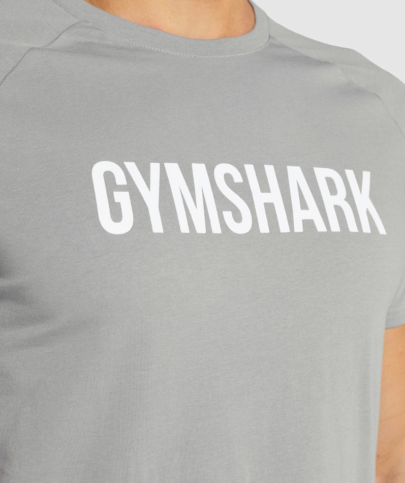 Gymshark Apollo T-skjorte Menn Smokey Grå