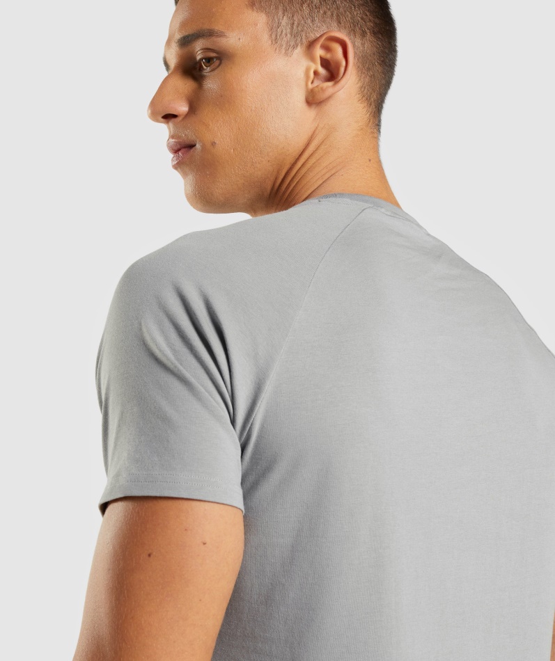 Gymshark Apollo T-skjorte Menn Smokey Grå