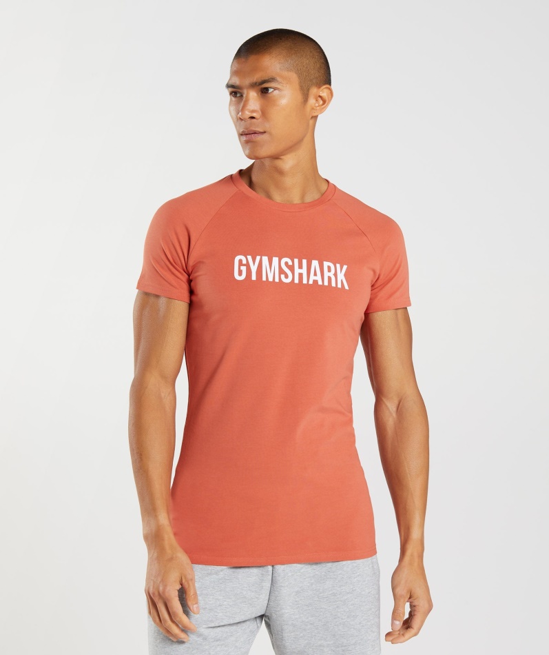 Gymshark Apollo T-skjorte Herre Storm Rød