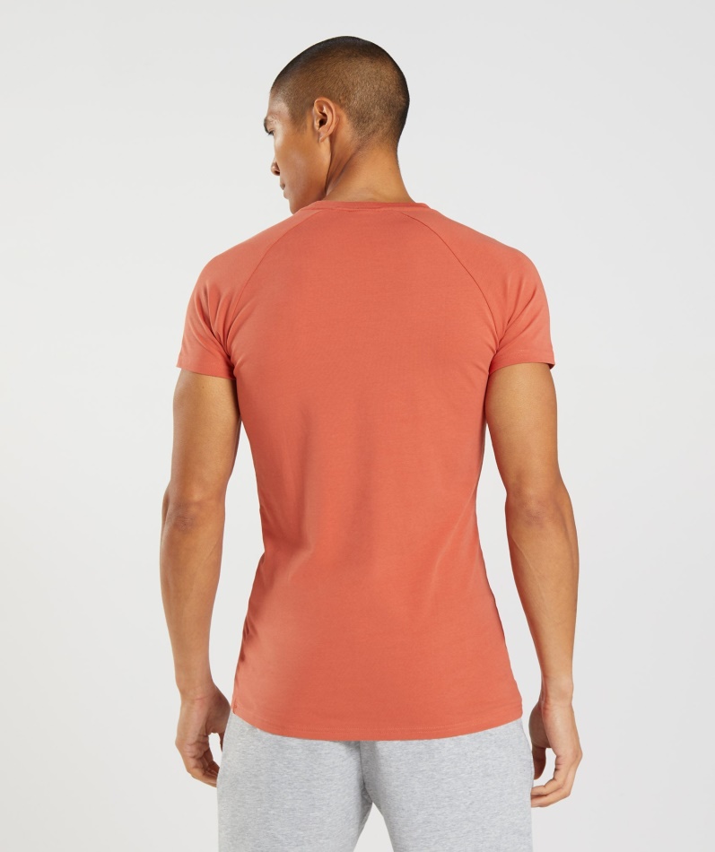 Gymshark Apollo T-skjorte Herre Storm Rød