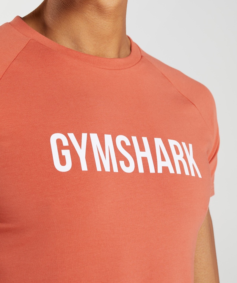Gymshark Apollo T-skjorte Herre Storm Rød