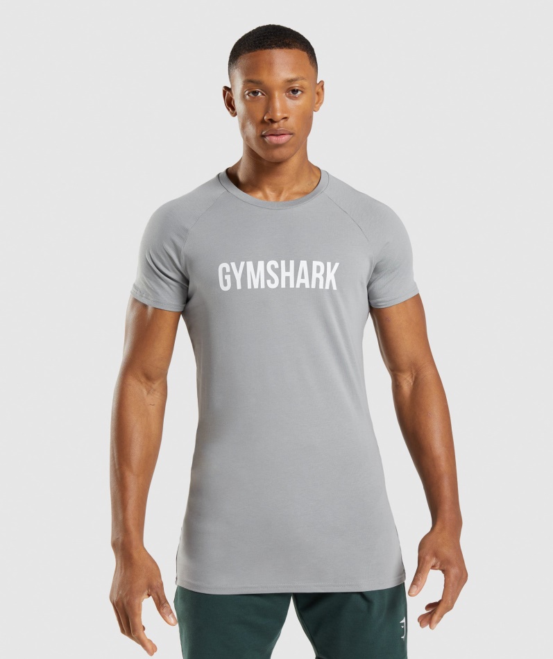 Gymshark Apollo T-skjorte Røykgrå