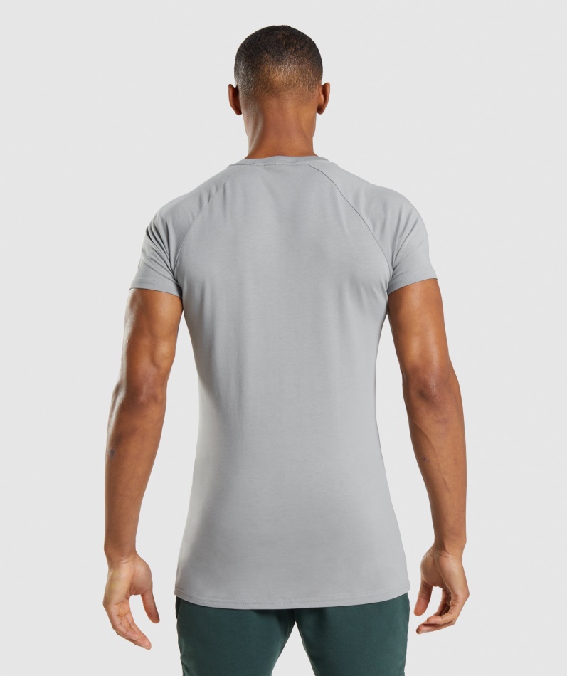 Gymshark Apollo T-skjorte Røykgrå