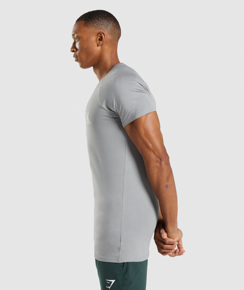 Gymshark Apollo T-skjorte Røykgrå