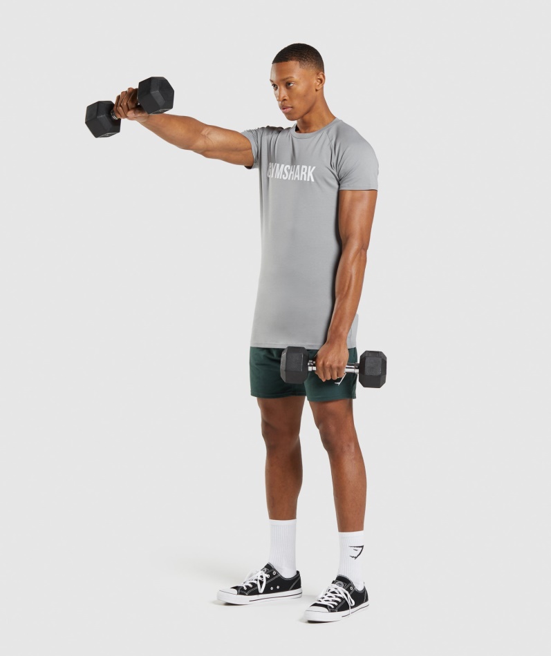 Gymshark Apollo T-skjorte Røykgrå