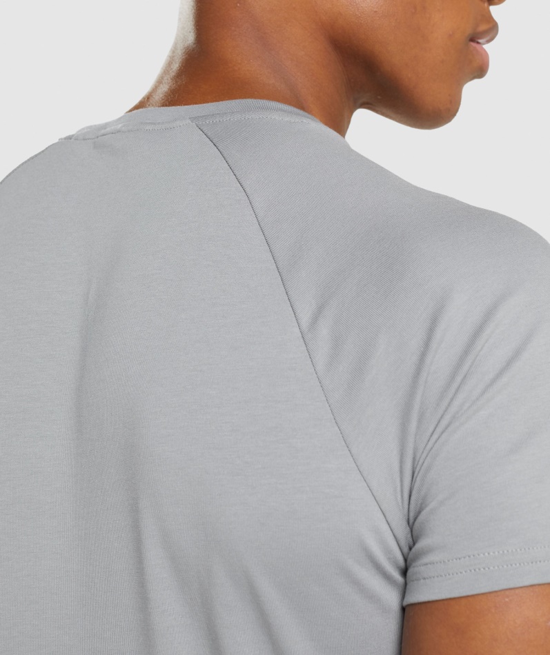 Gymshark Apollo T-skjorte Røykgrå