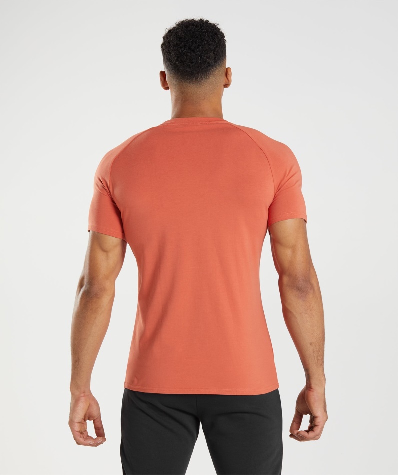 Gymshark Apollo T-skjorte Storm Rød
