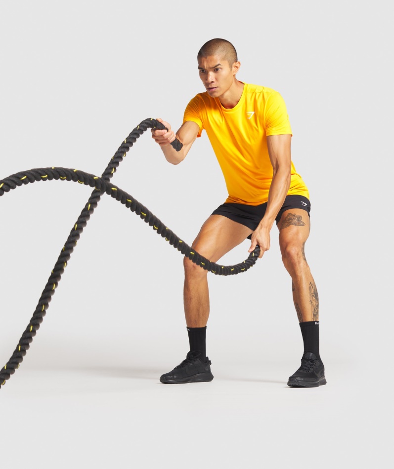 Gymshark Ankomst 5