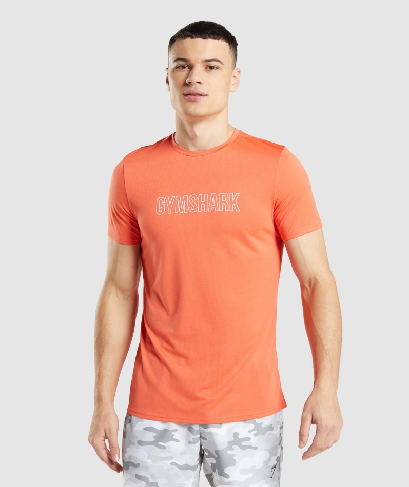 Gymshark Ankomst Grafisk T-skjorte Papaya Oransje
