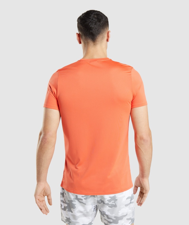 Gymshark Ankomst Grafisk T-skjorte Papaya Oransje