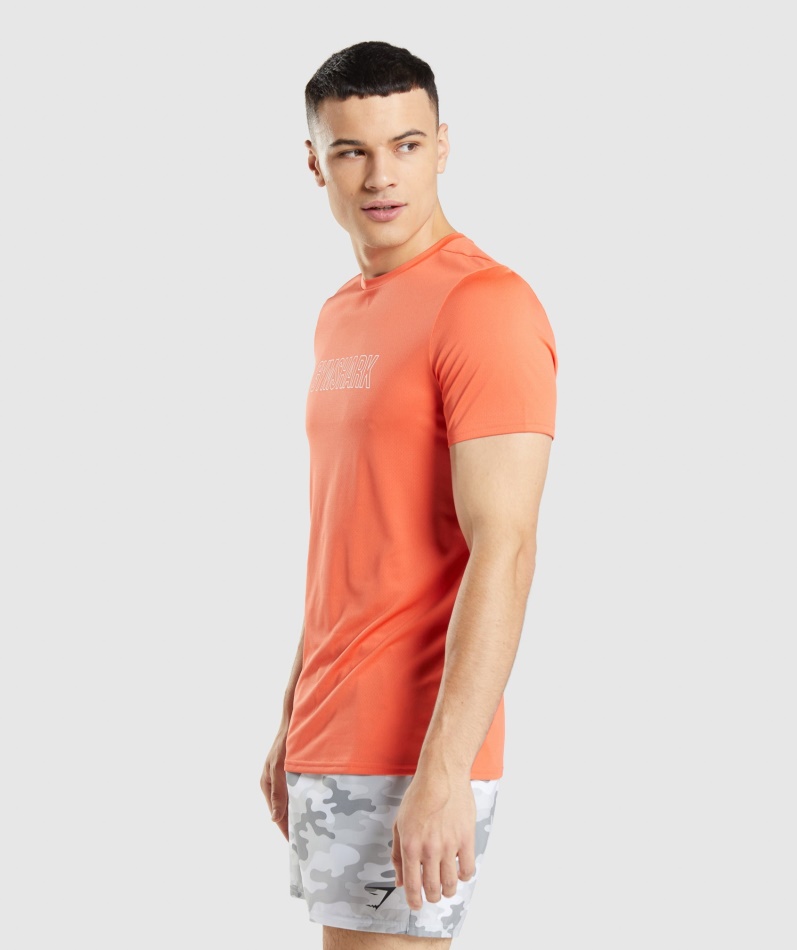 Gymshark Ankomst Grafisk T-skjorte Papaya Oransje
