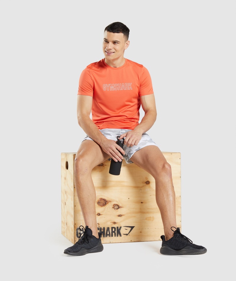 Gymshark Ankomst Grafisk T-skjorte Papaya Oransje