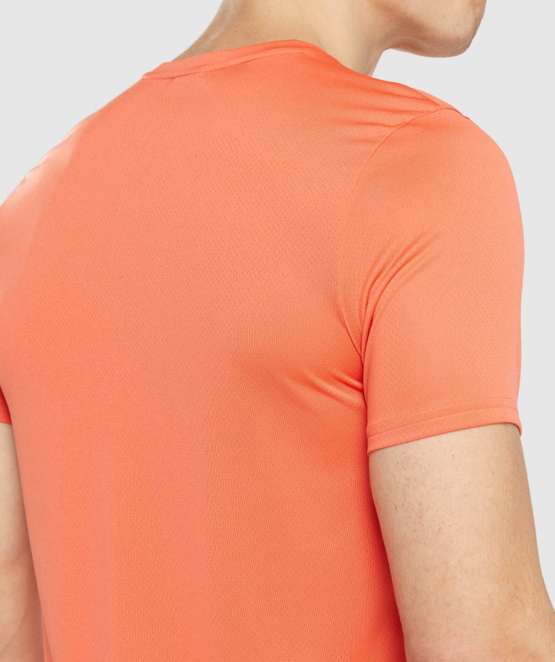 Gymshark Ankomst Grafisk T-skjorte Papaya Oransje