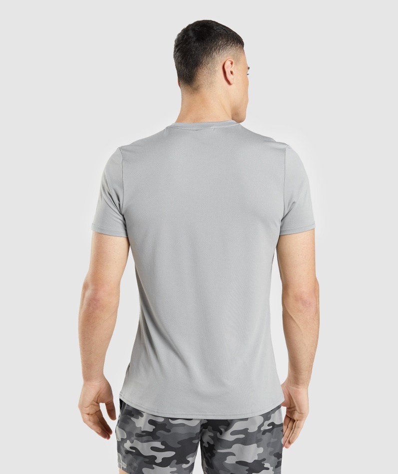 Gymshark Ankomst Grafisk T-skjorte Smokey Grå