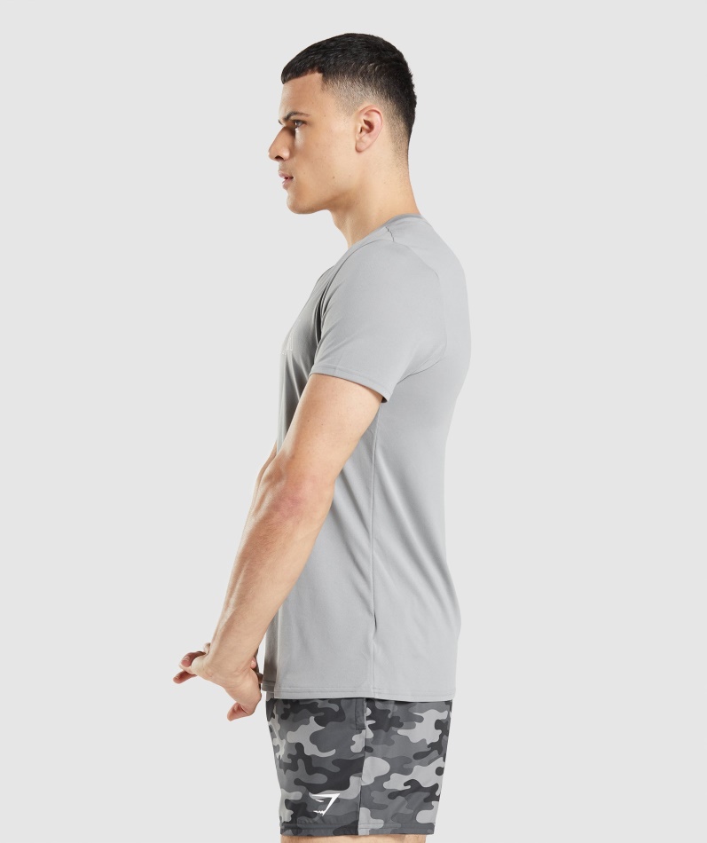 Gymshark Ankomst Grafisk T-skjorte Smokey Grå