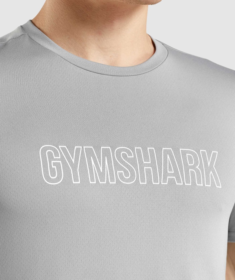 Gymshark Ankomst Grafisk T-skjorte Smokey Grå