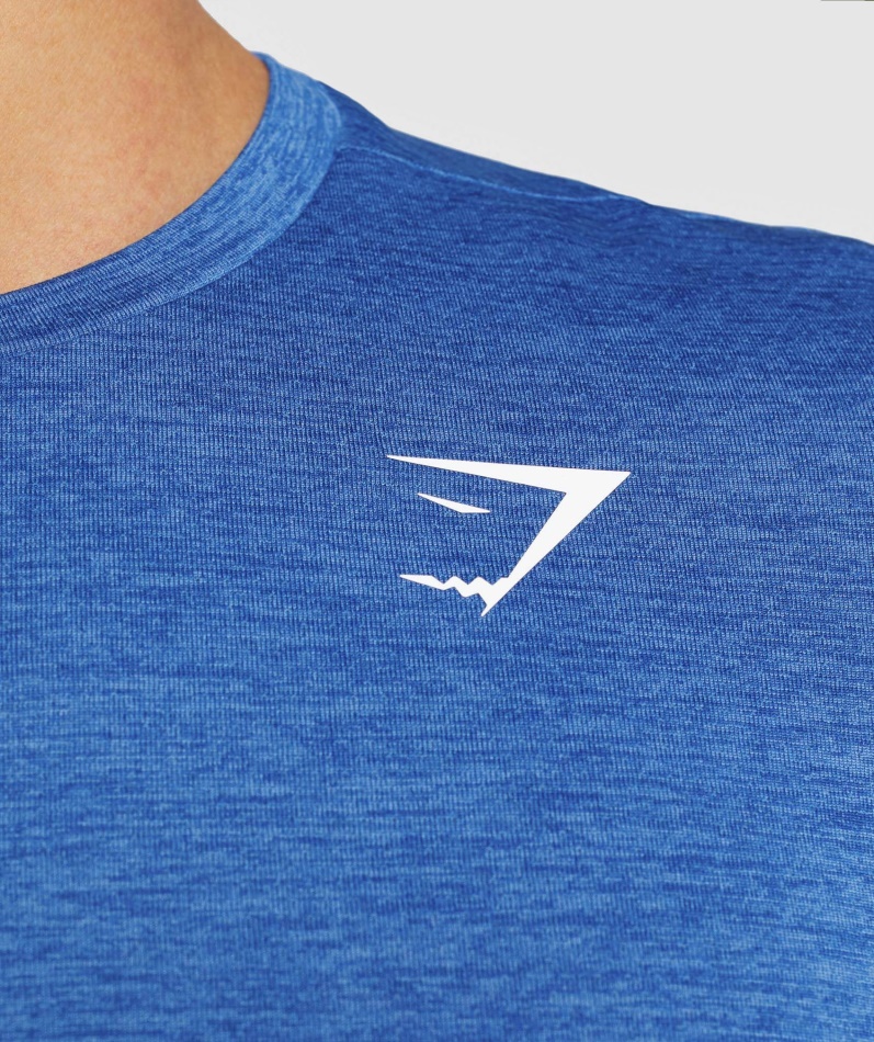 Gymshark Ankomst Mergel T-skjorte Blåspyd Blå Mergel
