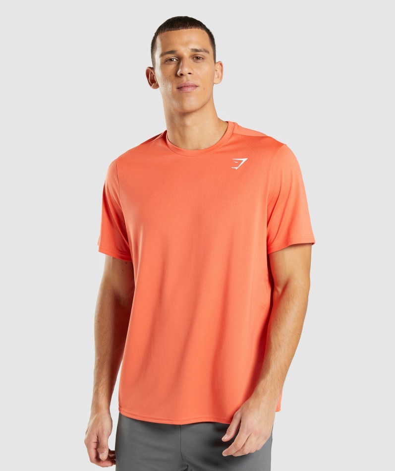 Gymshark Ankomst Regular Fit T-skjorte Papaya Orange