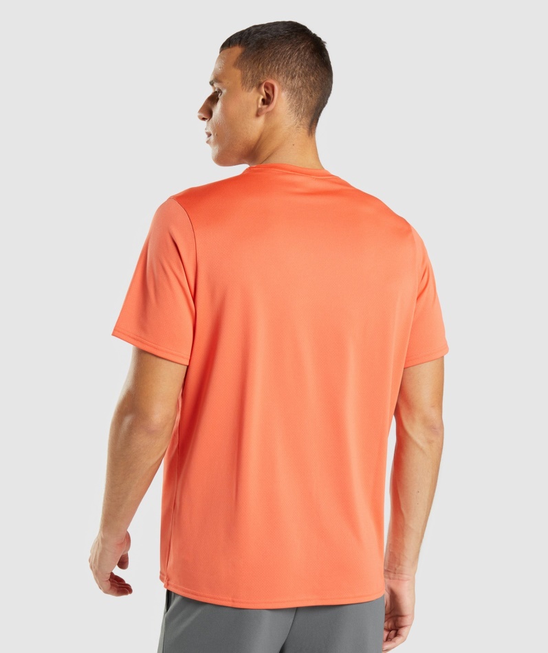 Gymshark Ankomst Regular Fit T-skjorte Papaya Orange