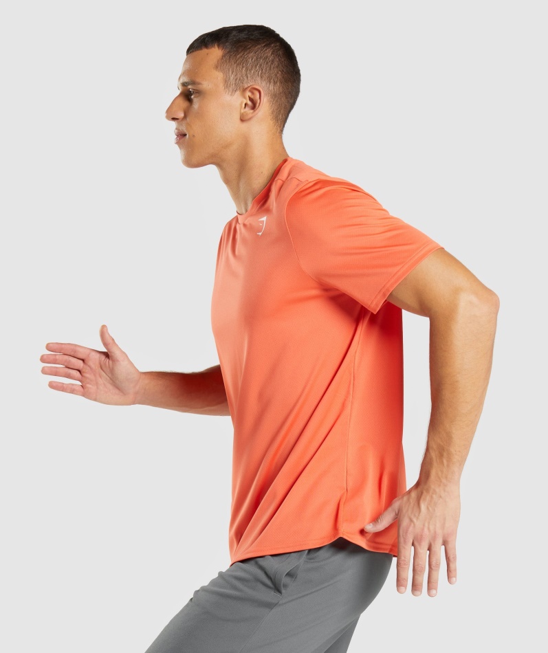 Gymshark Ankomst Regular Fit T-skjorte Papaya Orange