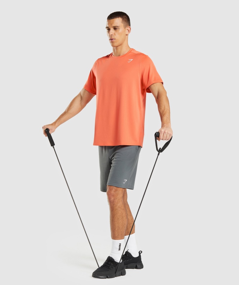 Gymshark Ankomst Regular Fit T-skjorte Papaya Orange