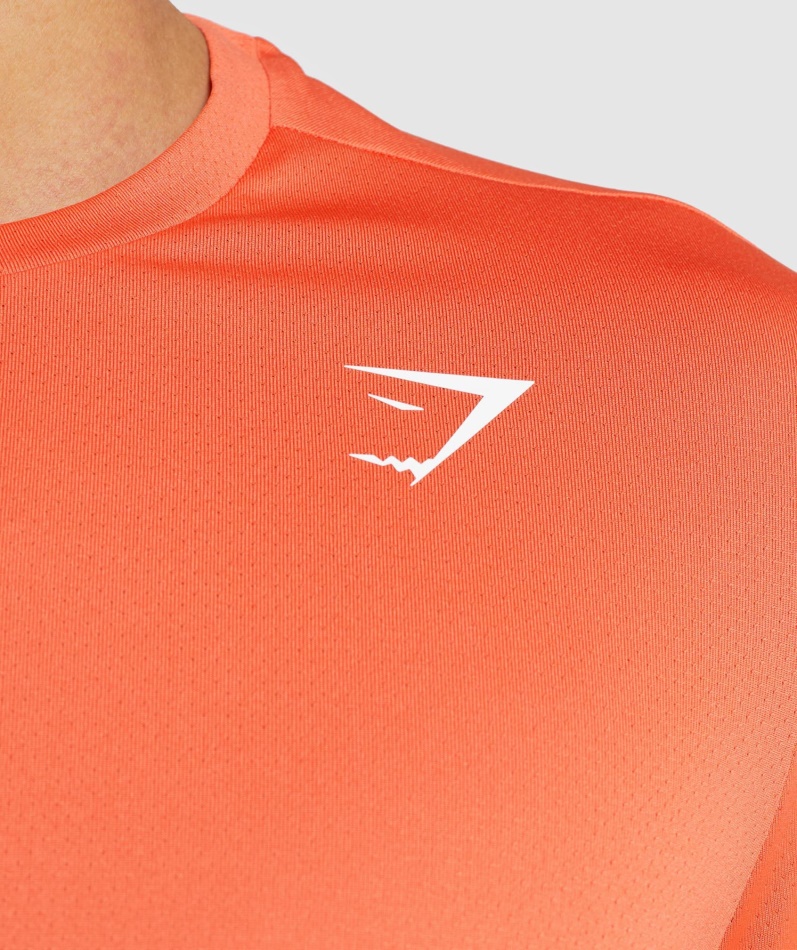 Gymshark Ankomst Regular Fit T-skjorte Papaya Orange