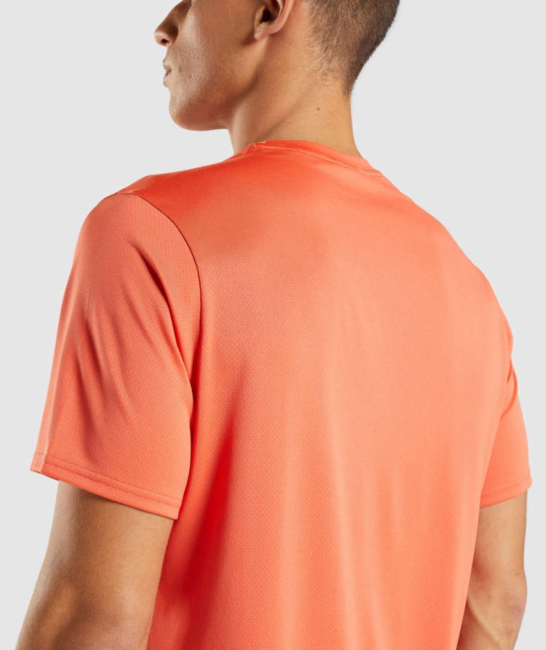 Gymshark Ankomst Regular Fit T-skjorte Papaya Orange