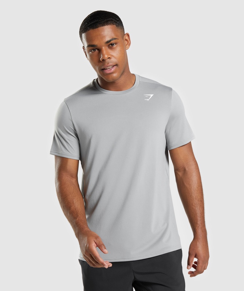 Gymshark Ankomst Regular Fit T-skjorte Smokey Grå
