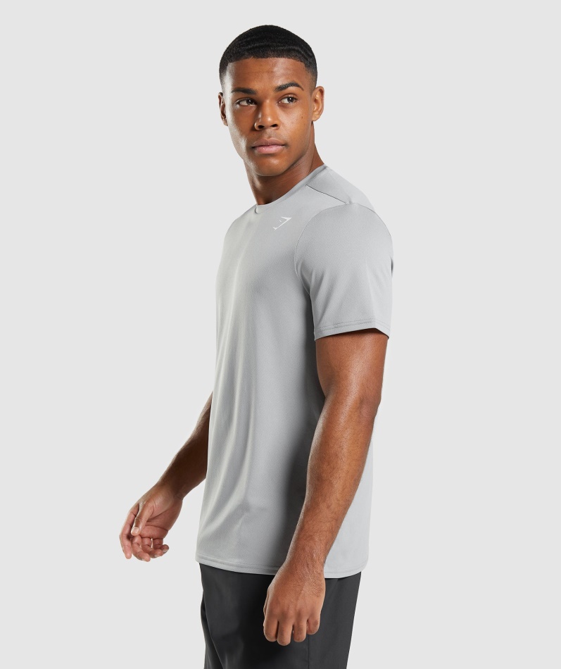 Gymshark Ankomst Regular Fit T-skjorte Smokey Grå