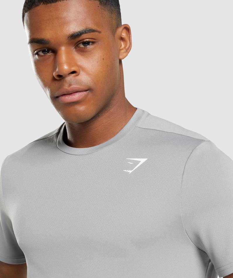 Gymshark Ankomst Regular Fit T-skjorte Smokey Grå