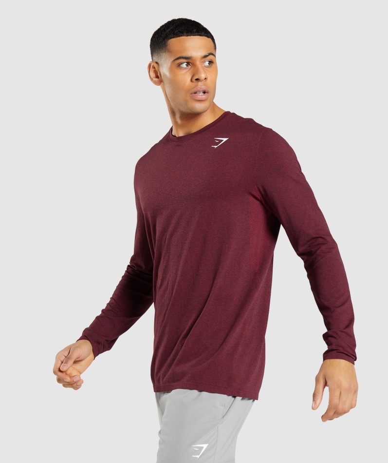 Gymshark Ankomst Sømløs Langermet T-skjorte Burgunder Rød Mergel