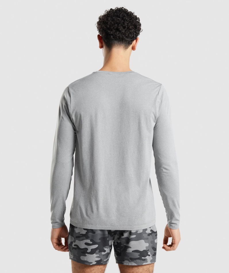 Gymshark Ankomst Sømløs Langermet T-skjorte Grå