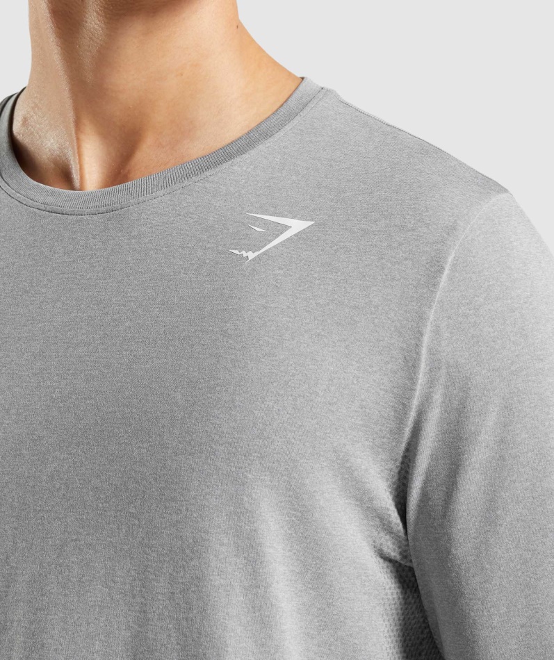 Gymshark Ankomst Sømløs Langermet T-skjorte Grå