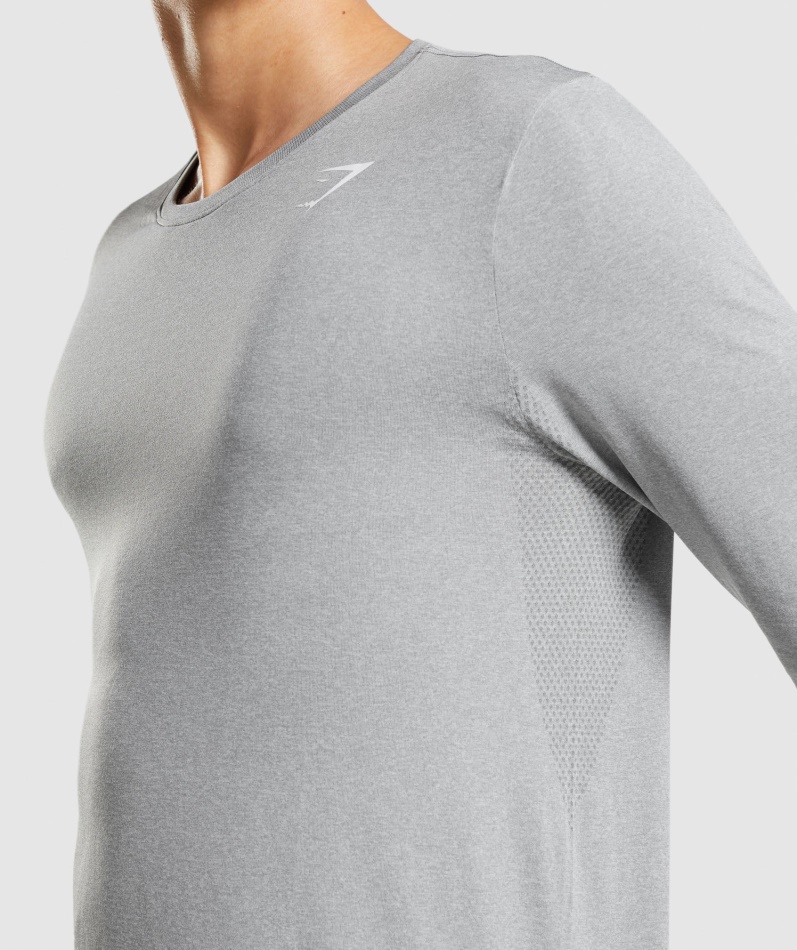 Gymshark Ankomst Sømløs Langermet T-skjorte Grå
