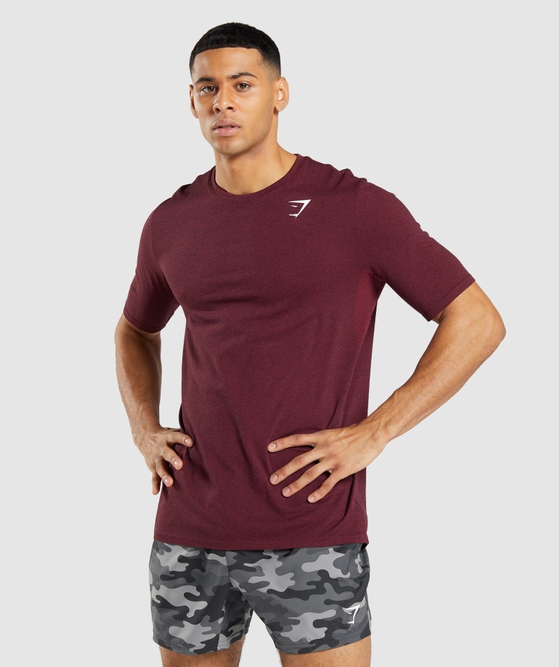Gymshark Ankomst Sømløs Kortermet T-skjorte Burgunder Rød Mergel
