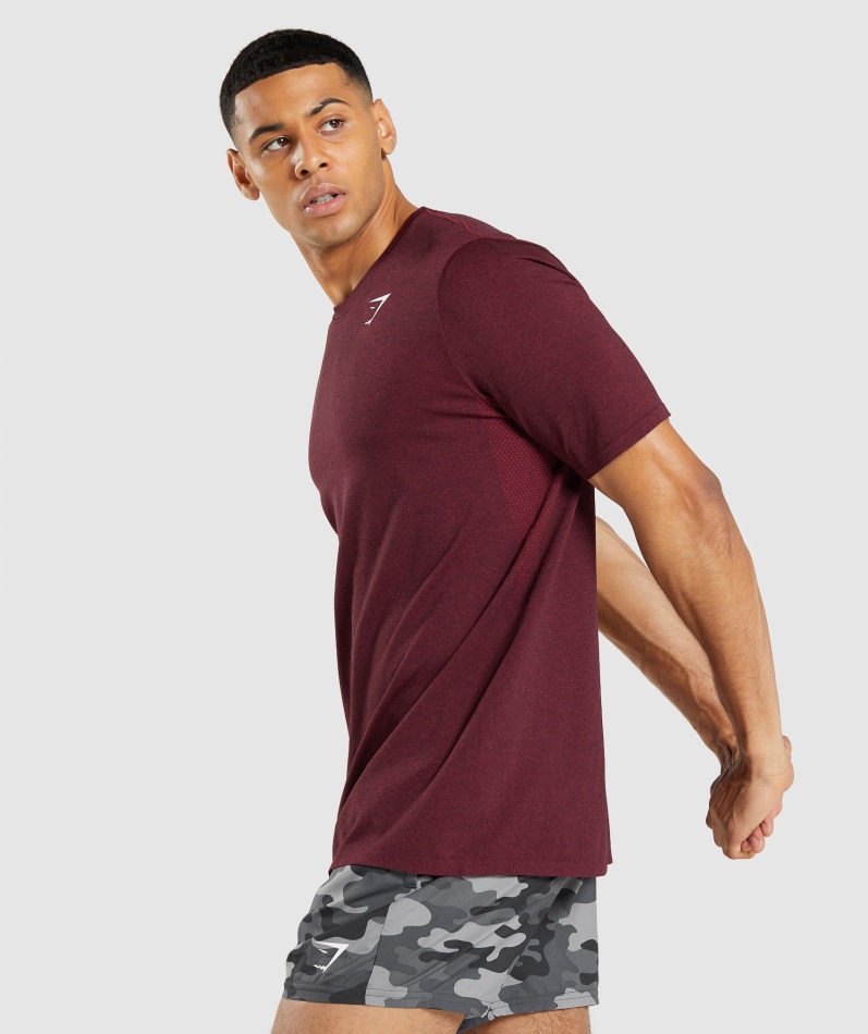 Gymshark Ankomst Sømløs Kortermet T-skjorte Burgunder Rød Mergel