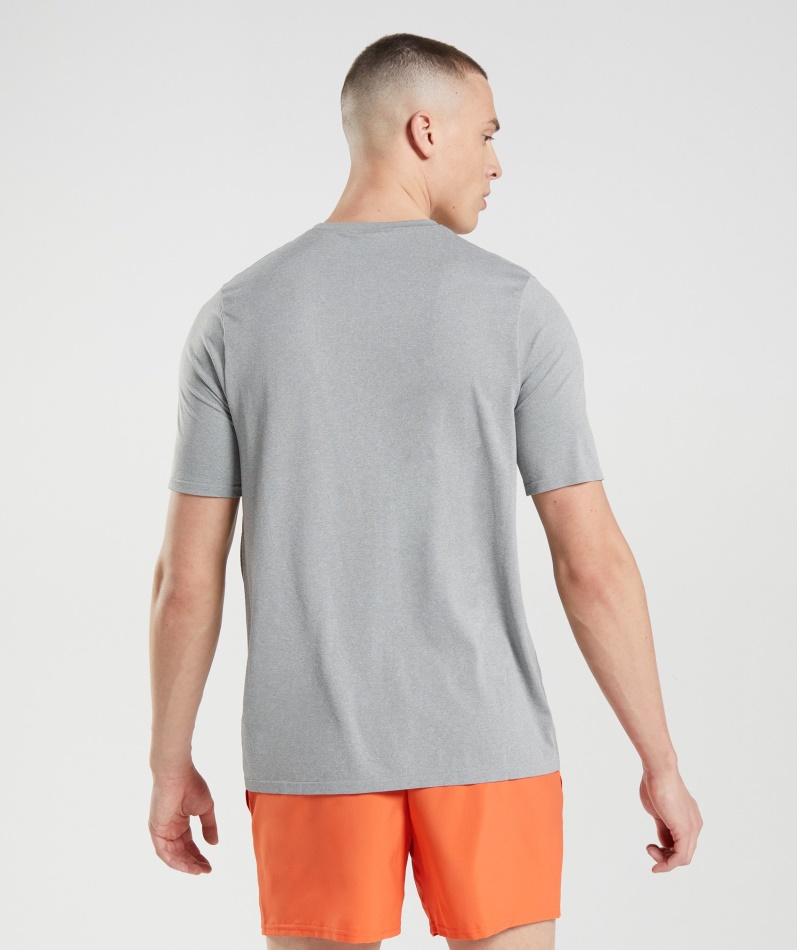 Gymshark Ankomst Sømløs T-skjorte Grå
