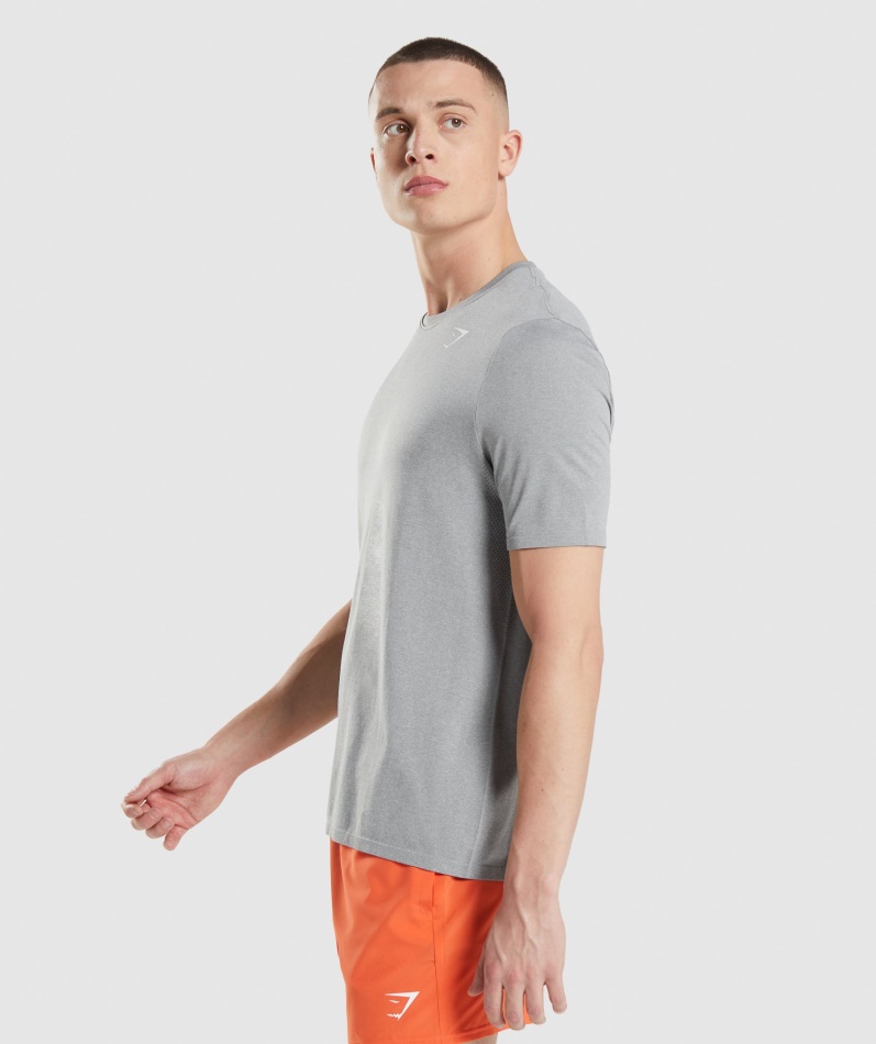 Gymshark Ankomst Sømløs T-skjorte Grå