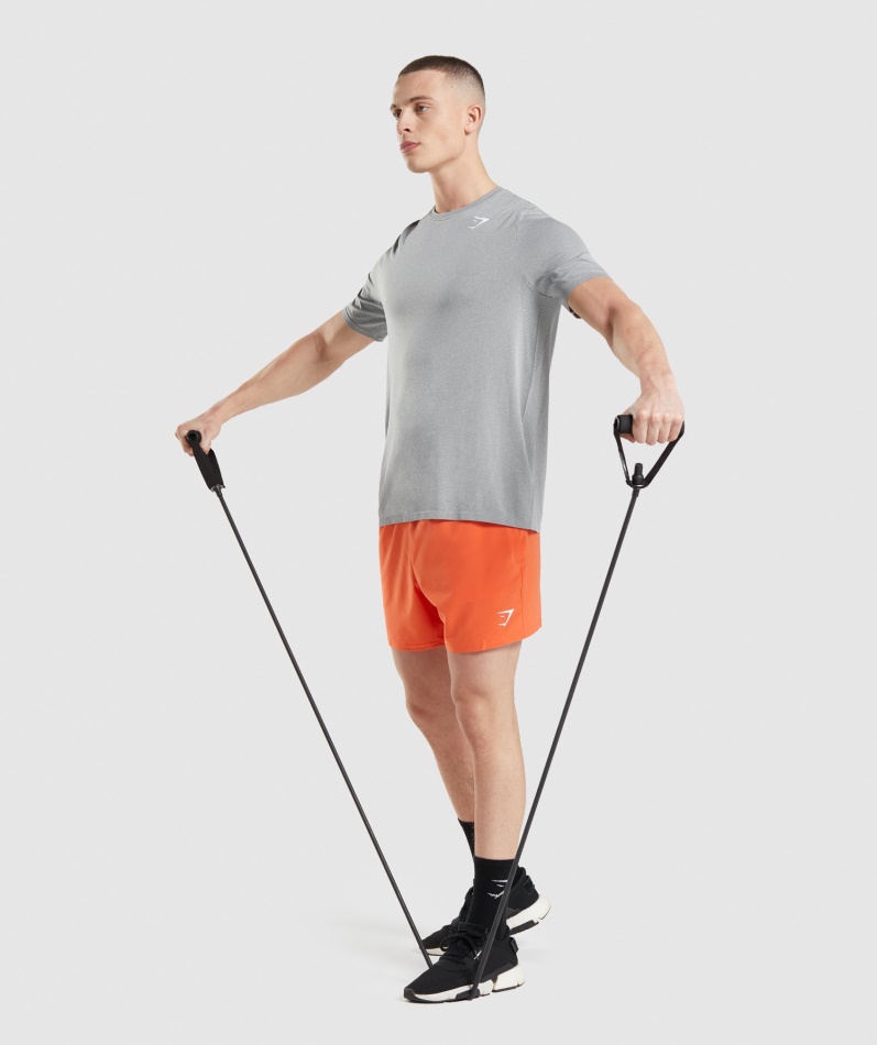Gymshark Ankomst Sømløs T-skjorte Grå