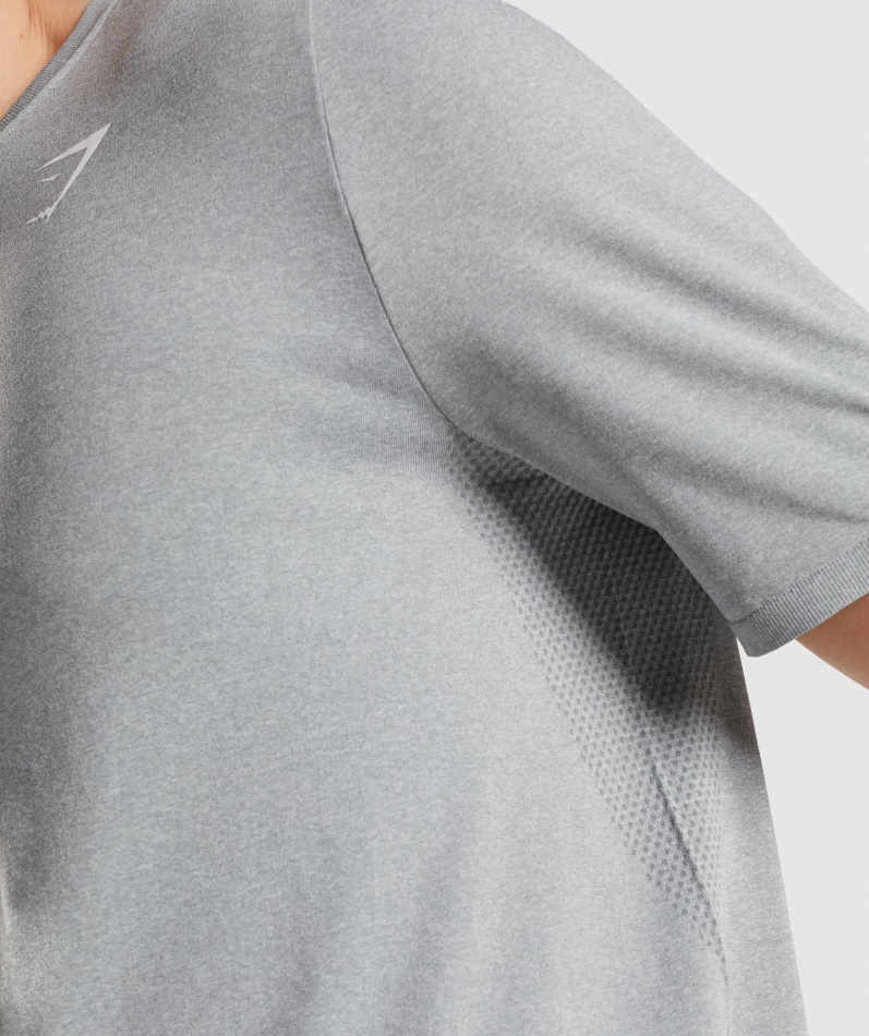 Gymshark Ankomst Sømløs T-skjorte Grå